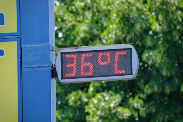 Šta jesti tokom velikih vrućina