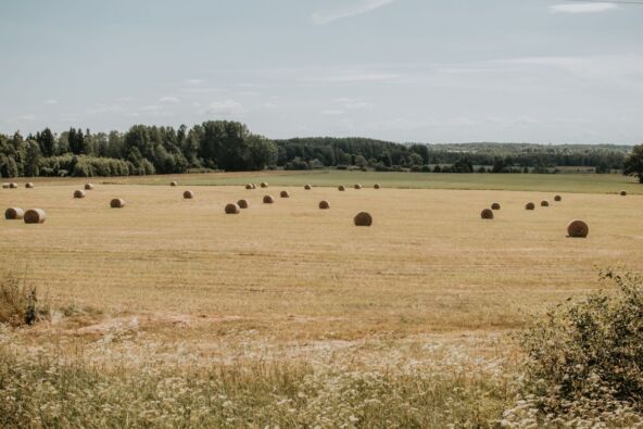 Turaida, seno, Litvanija