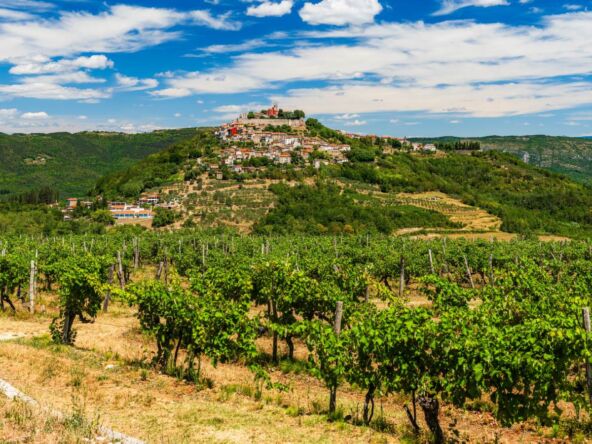 Motovun