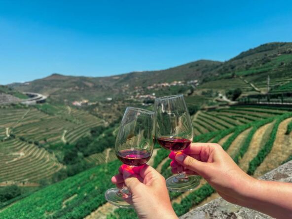 Portugalsko vino
