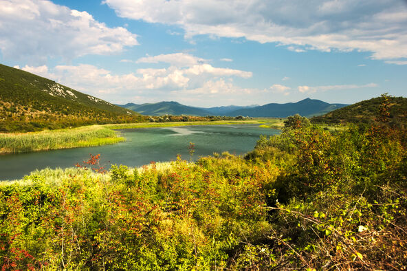 Hutovo blato