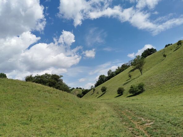 zagajička brda