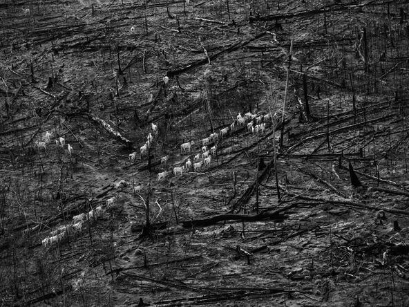 Fotografije posledica klimatskih promena