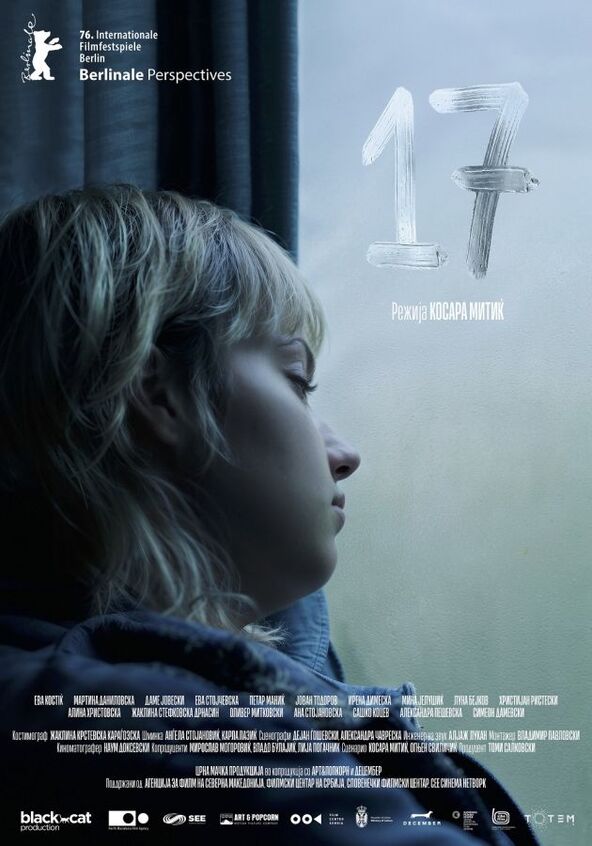 Poster za film 17
