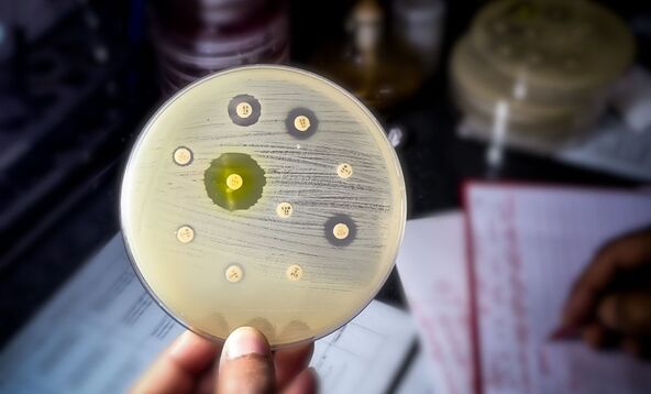 Antibiotici studija
