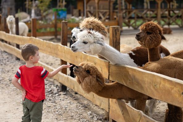 Zoo vrt i infekcije