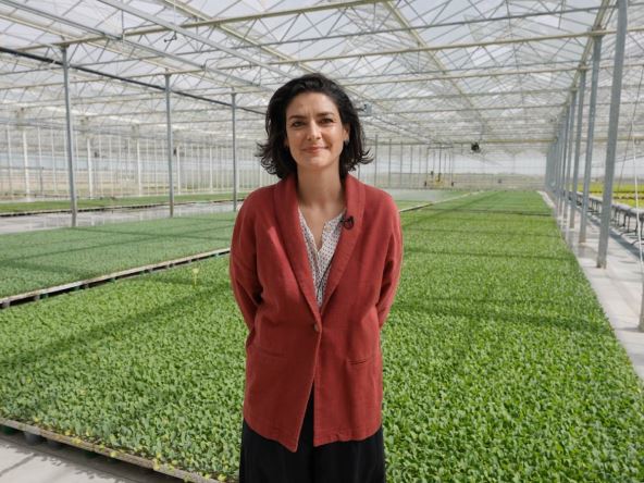 Plamena Halačeva, zamenica šefa Delegacije EU u Srbiji