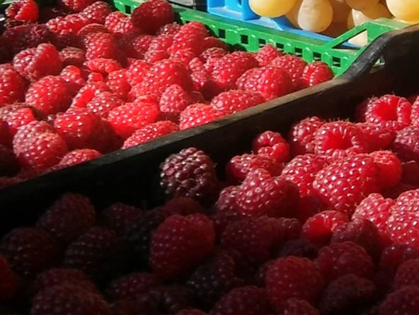 Maline i grožđe na pijačnoj tezgi