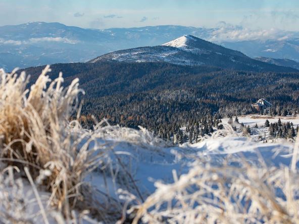 Kopaonik