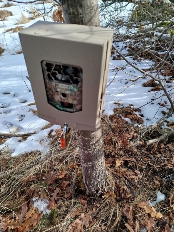 postavljanje zamke koja treba da prati kretanje divljih životinja na Staroj planini