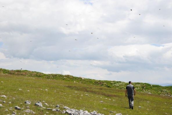 Milorad Babić Pešter Foto Pavle Jovanović UNDP.jpg
