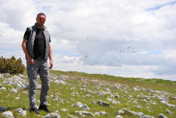 Milorad Babić Pešter.jpg