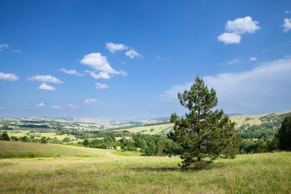 Pogled na Divčibare i Tometino Polje