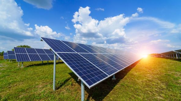 solarni paneli poređani na zemlji