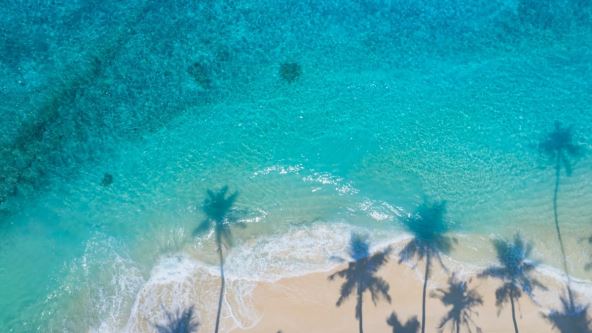 maldivi