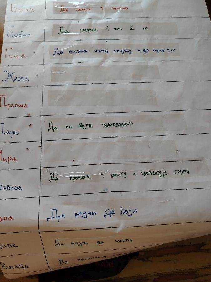 avlija-dužnosti.jpg