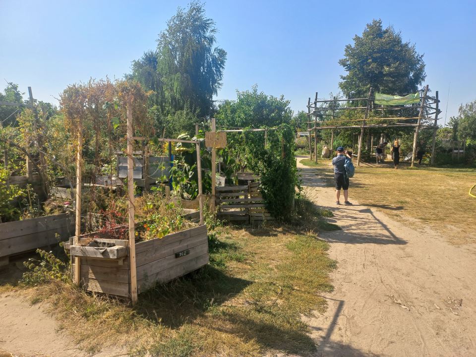 Urbana bašta u Berlinu na području nekadašnjeg aerodroma Tempelhof